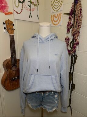 Light Blue Hollister Logo Hoodie